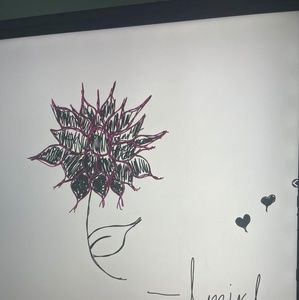 Meet your Posher, Amira